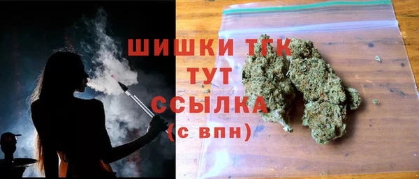 гидропоника Белокуриха