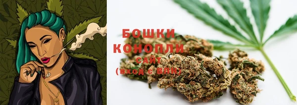 гидропоника Белокуриха