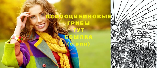 гидропоника Белокуриха