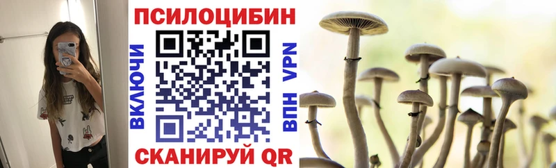 нарко площадка официальный сайт Шенкурск Псилоцибиновые грибы MAGIC MUSHROOMS